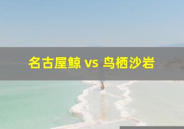 名古屋鲸 vs 鸟栖沙岩